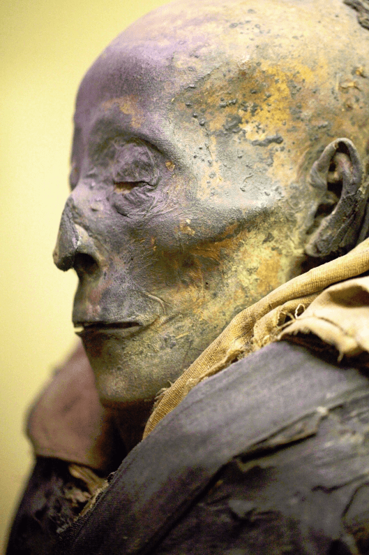 Image of an Egyptian Mummy 