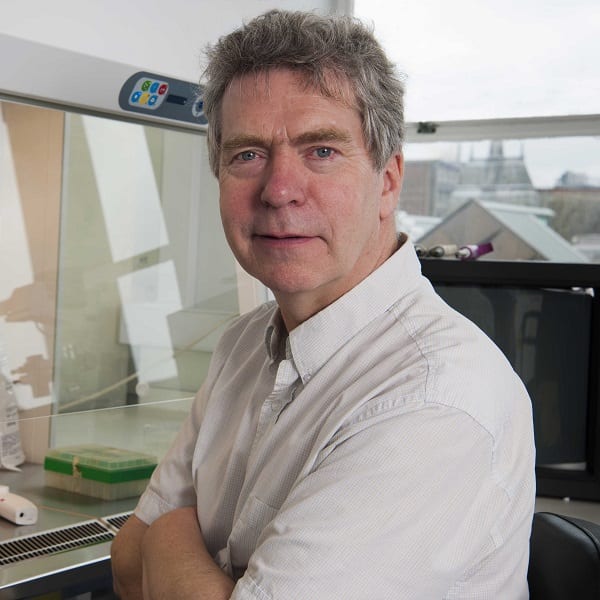 Prof Jim Gallagher