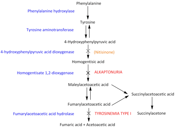 20130912001804-Pathway Image showing the metabolic pathway AKU is found on